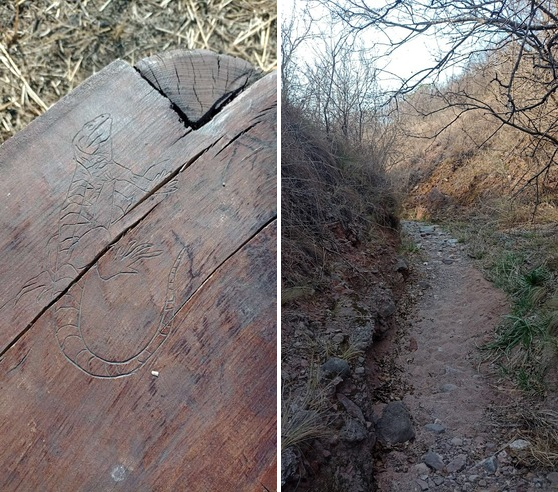 A lizard carved into a bench and a small dirt hallway